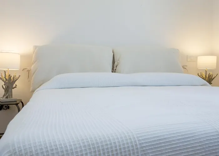 Nila 포르투 아주로